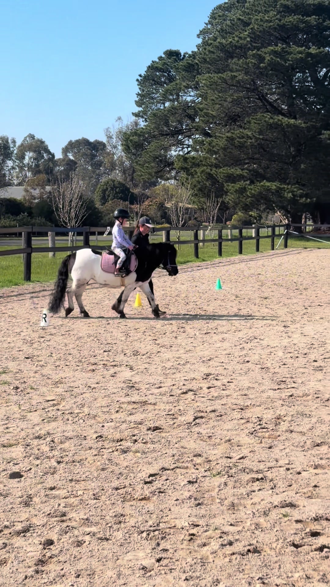 @🖤 Savs ponies🤍