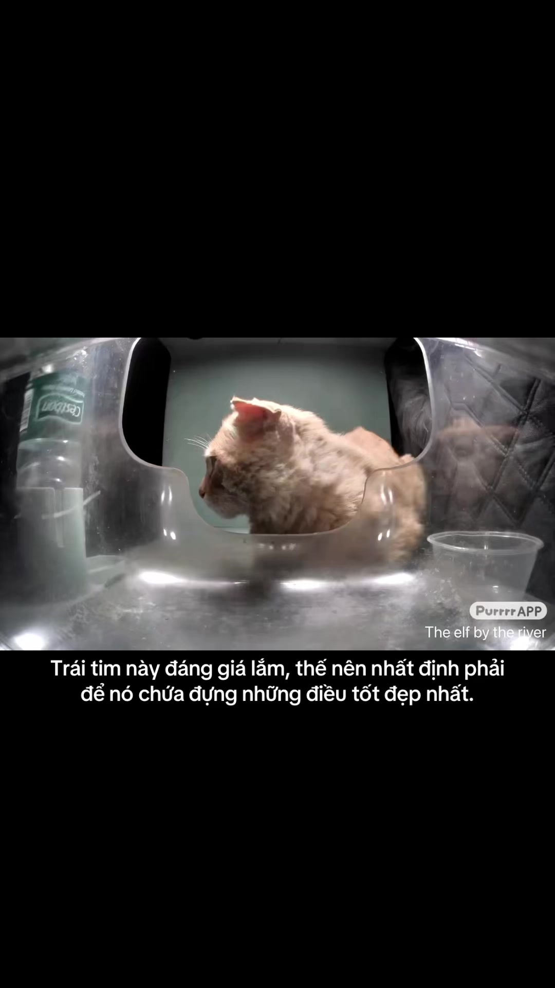 @đứa trẻ bên trong