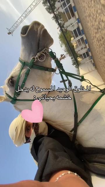 @Toly 🐎.