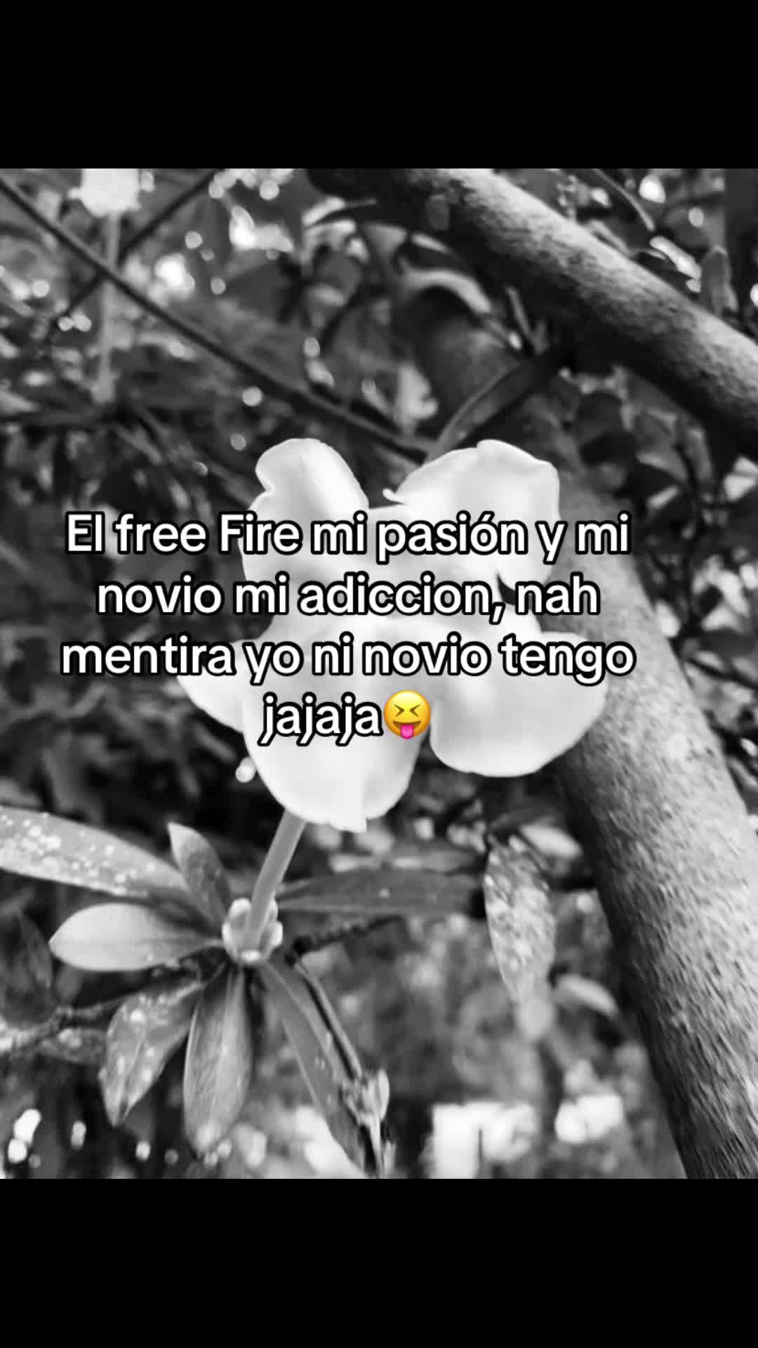 @𝒫𝒶ℴ🦦