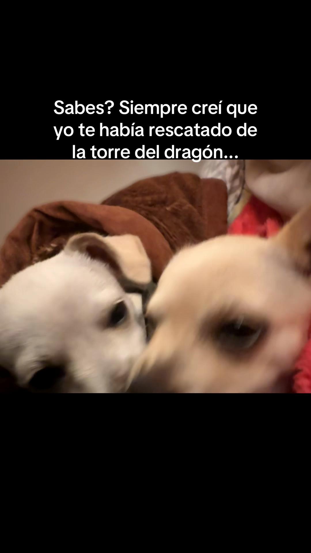 @𝑫𝒂𝒏𝒊𝒆𝒍𝒂 𝒀𝒖𝒈𝒂𝒓