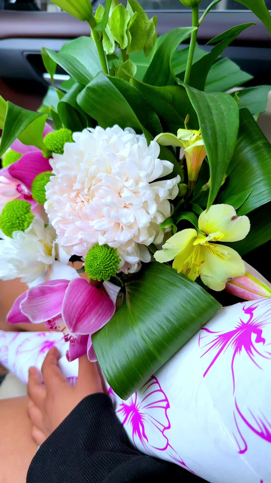@Drแฌ Alex Ze ๐ช๐น๐ค