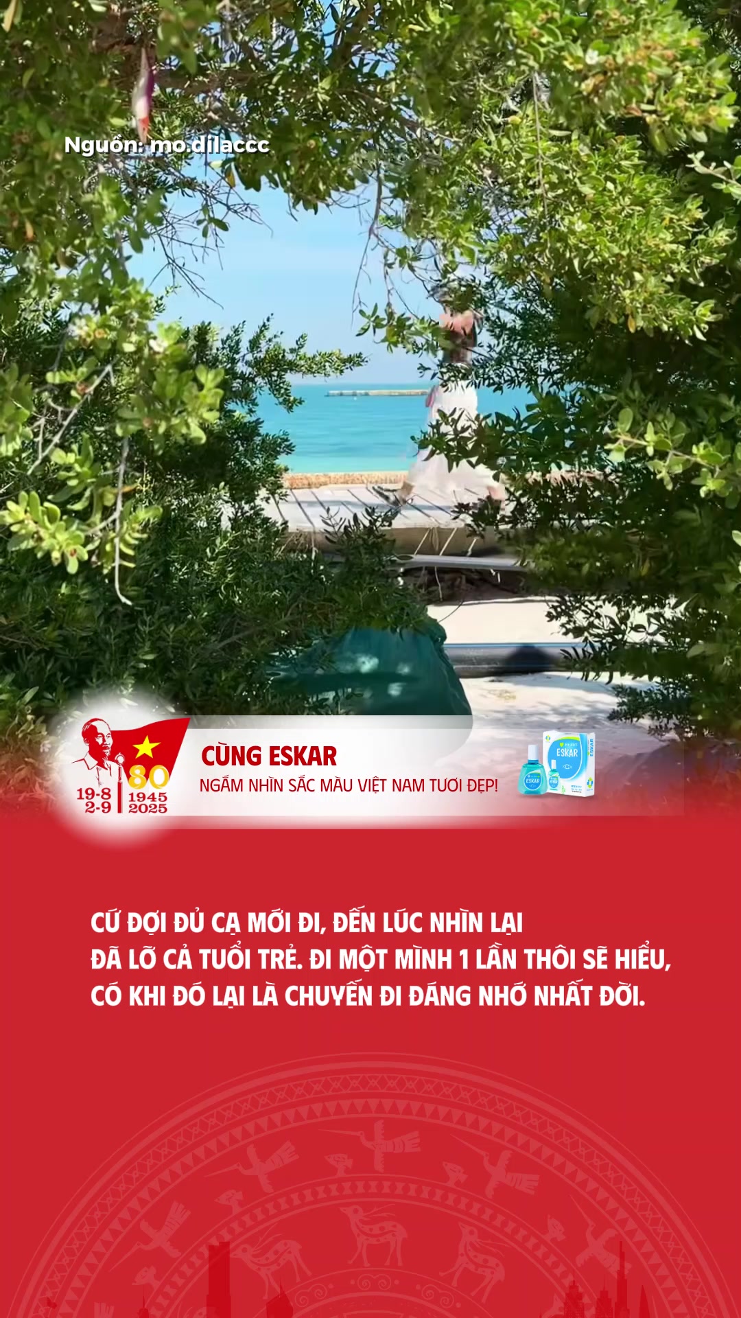 @Sắc M&agrave;u Việt Nam