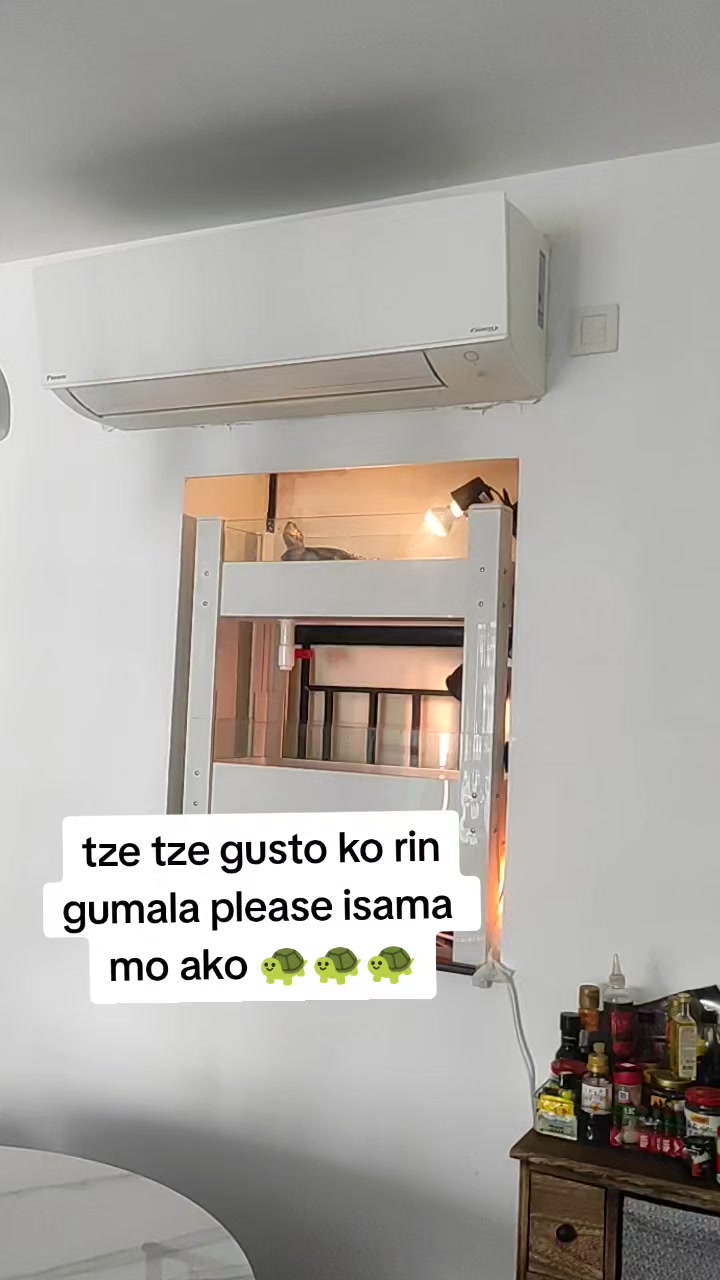 @mae mae