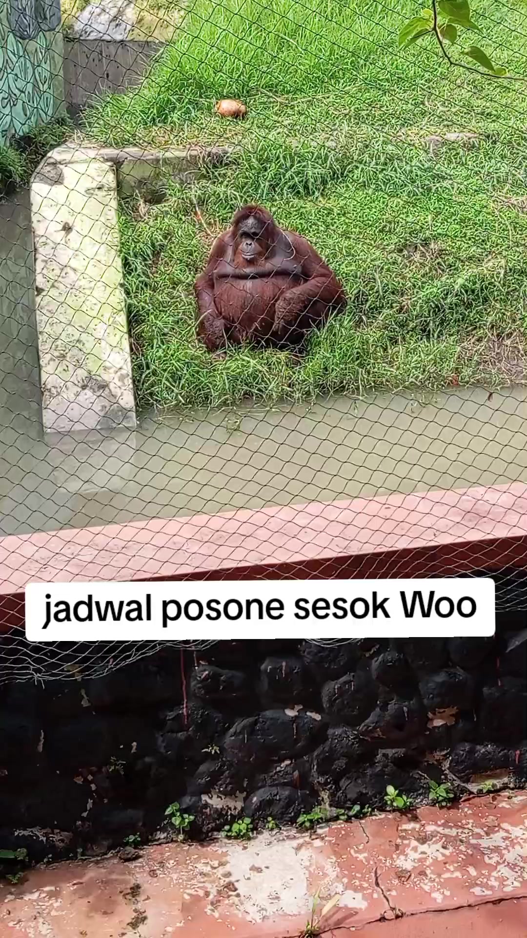 @kangyanilawu