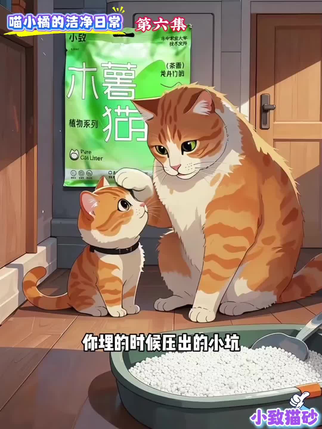 @小致猫砂国内外招代理商