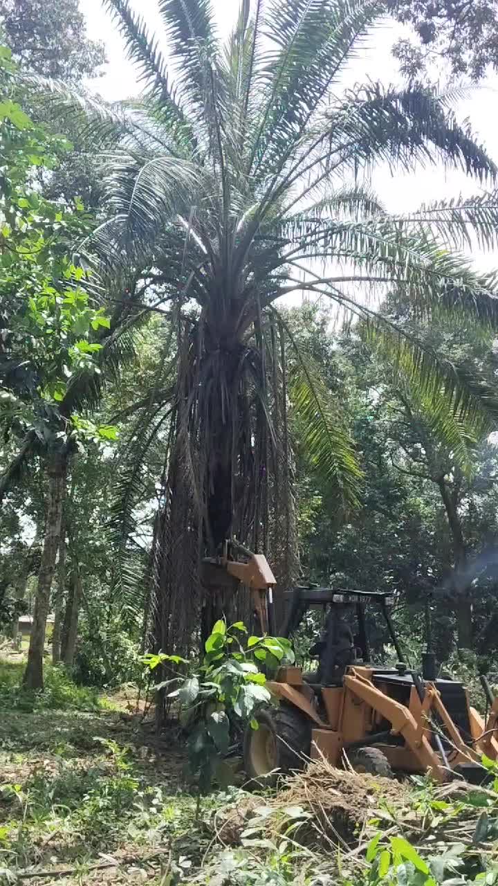 @AmirGarcia69🇲🇾🐂🐐