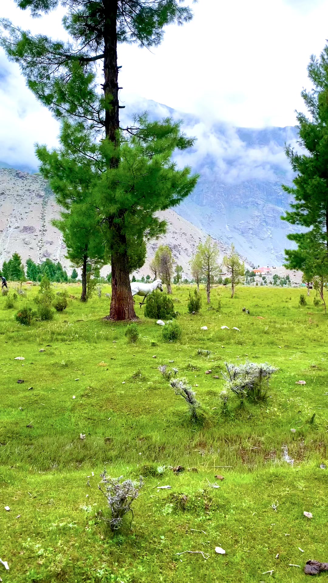 @Mubeen Taqi