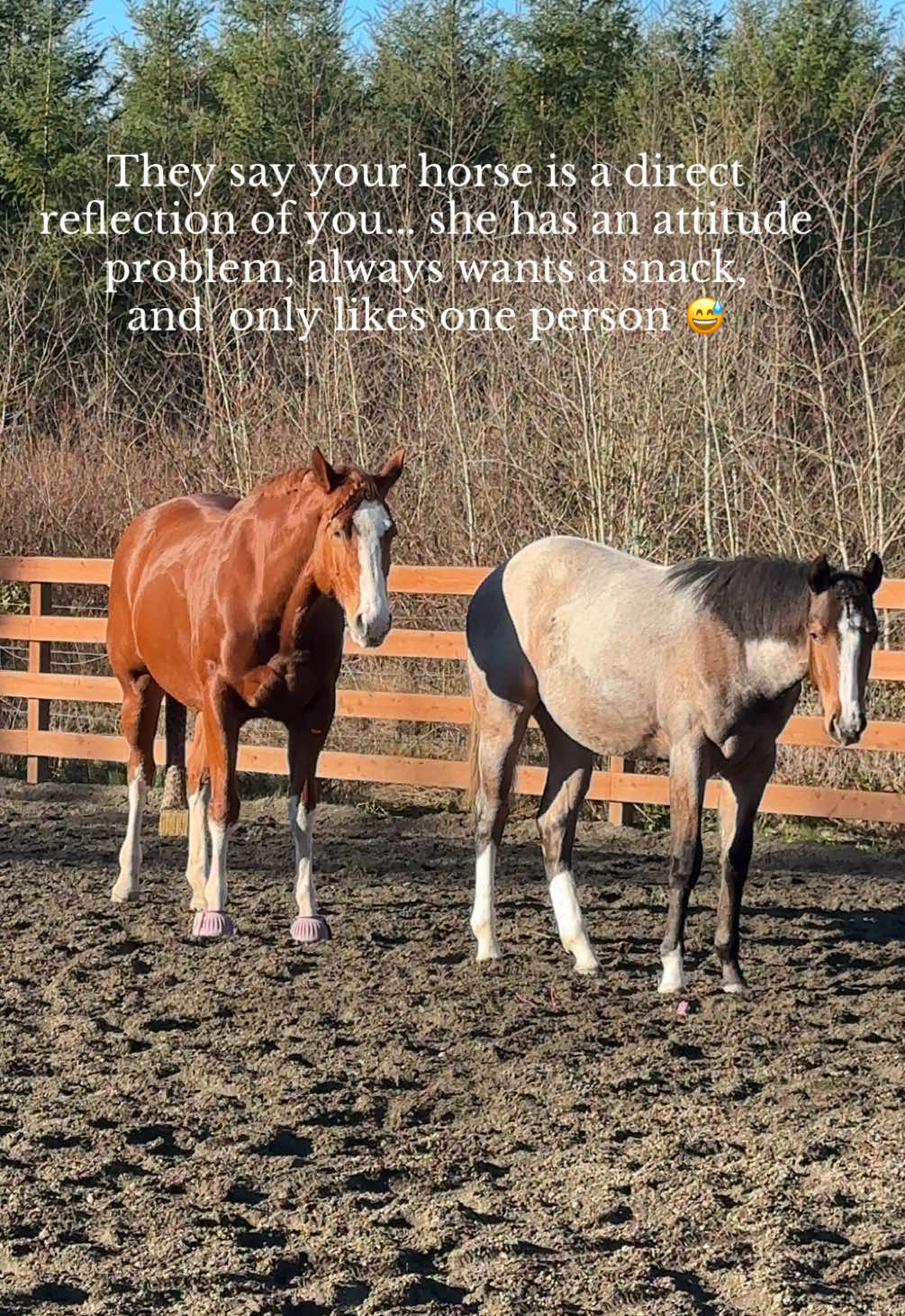 @Cait | Red Mare Owner