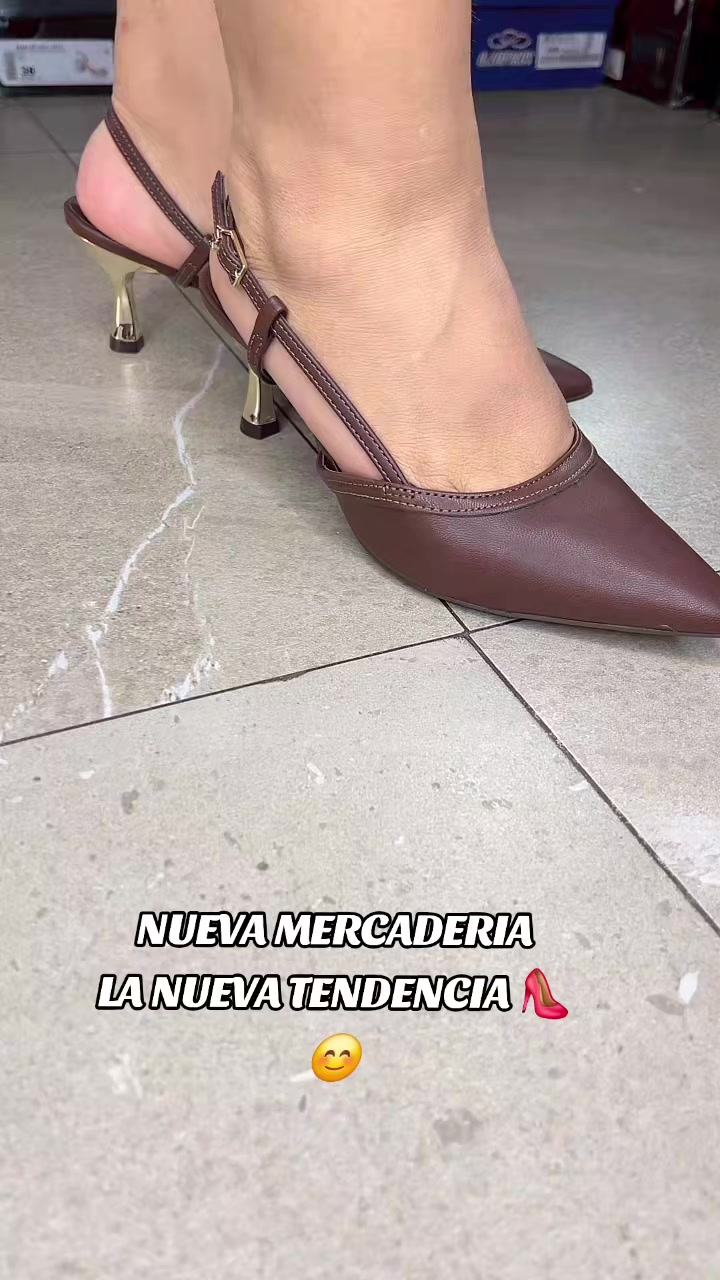 @dinastia701