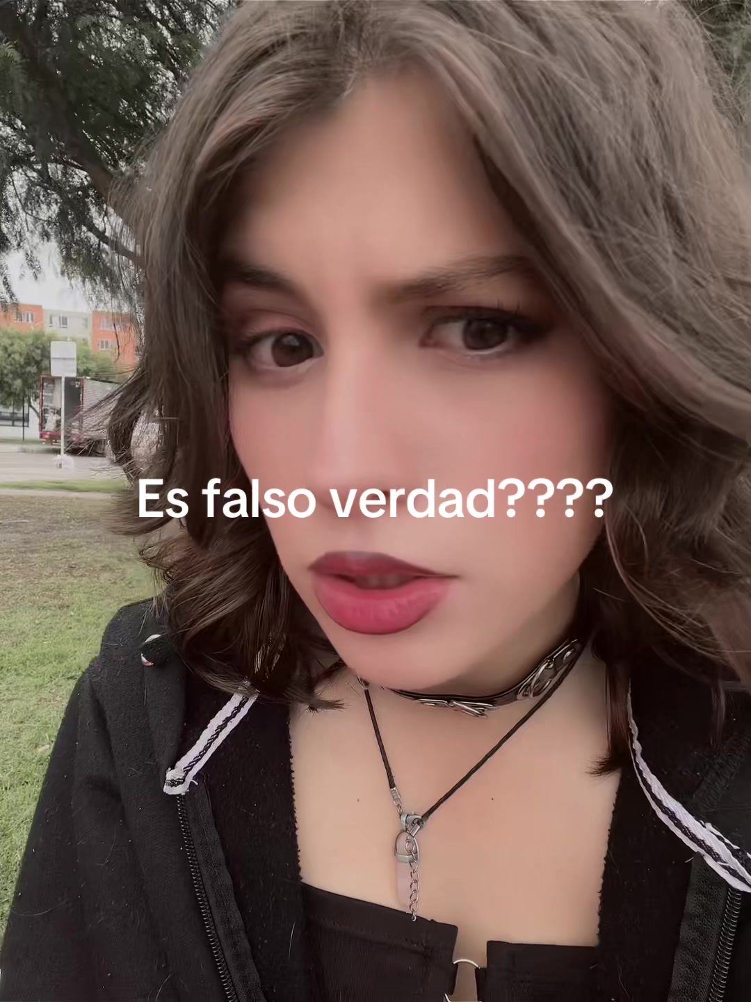 @sunmortem