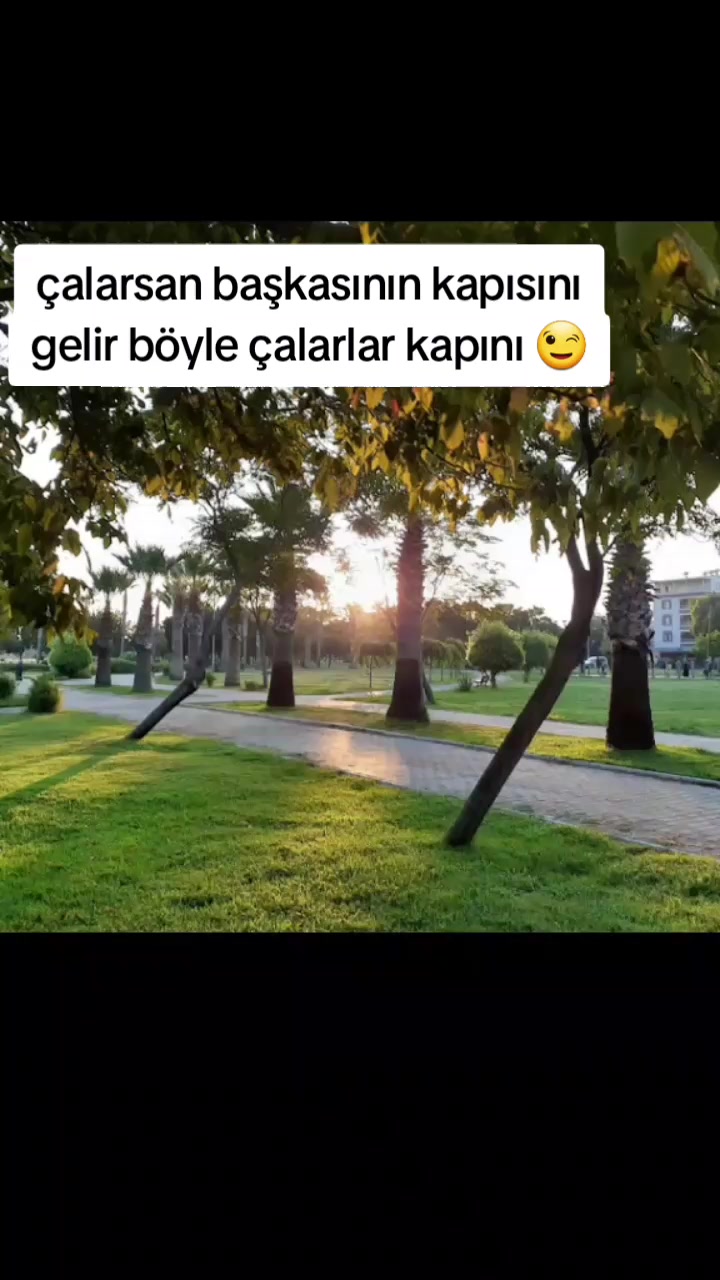 @SibeL@LeM🤪