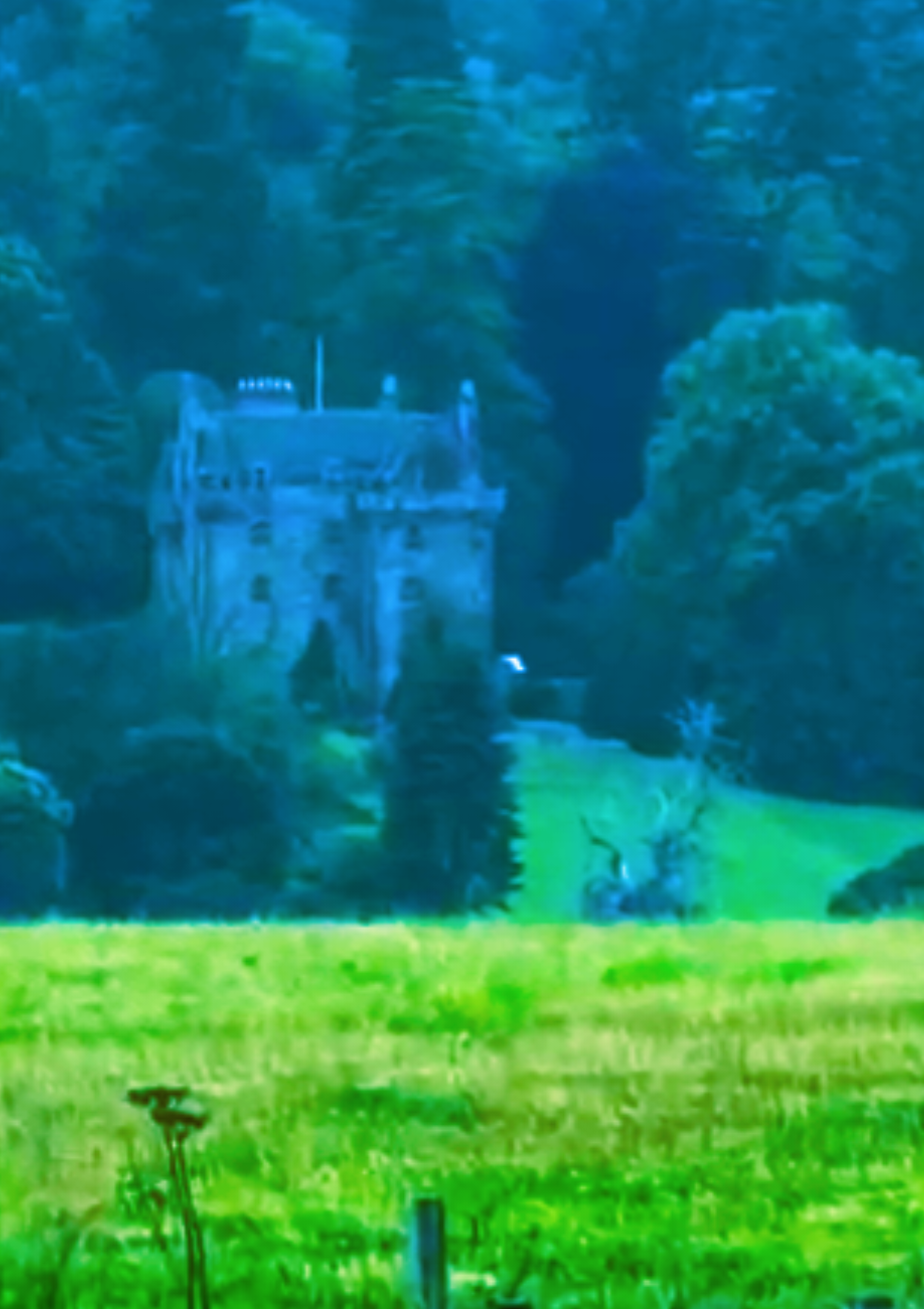 @⛺️🪵JanjuaScapes🗻📽️☯️