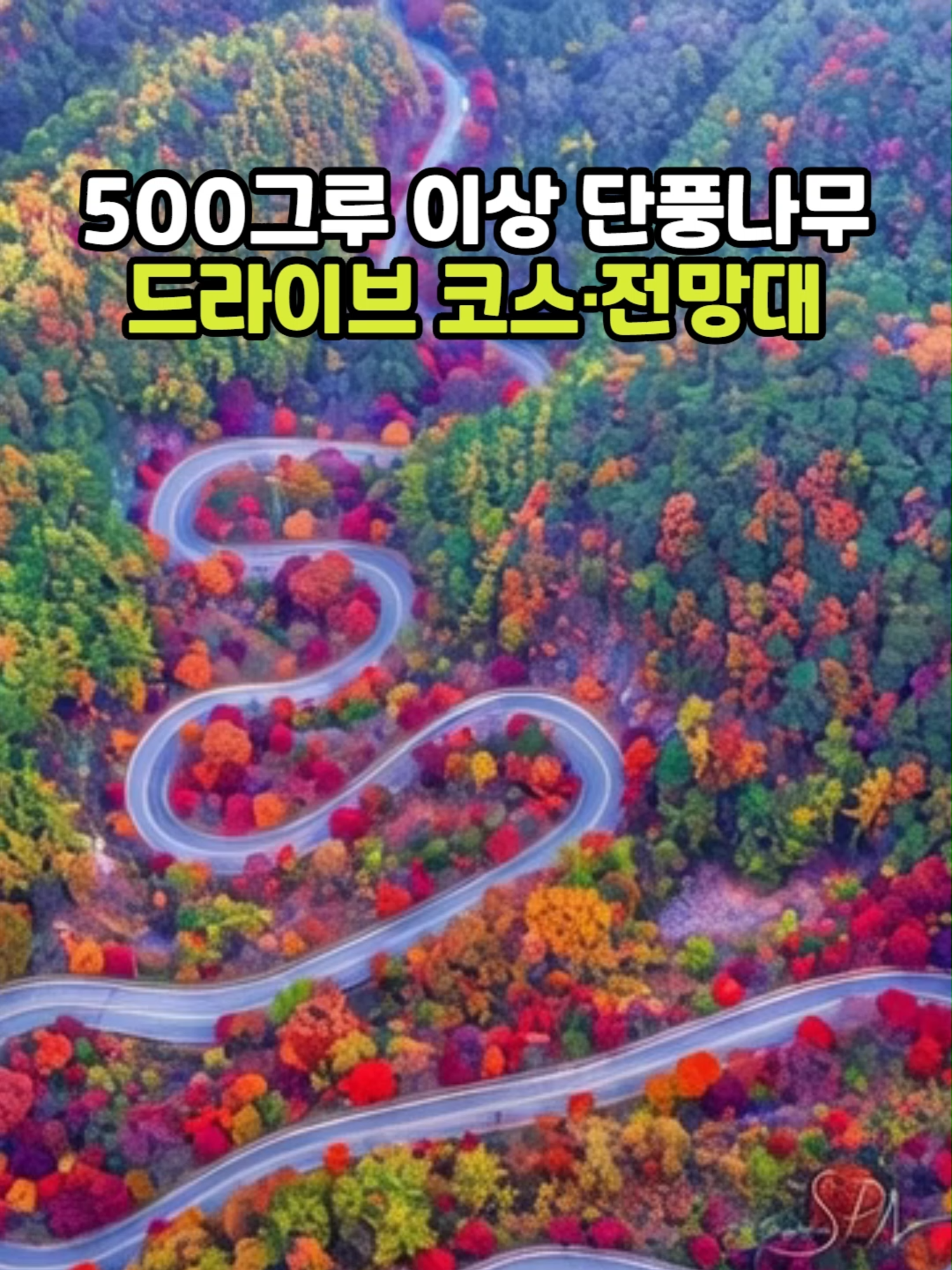 @꽃노리
