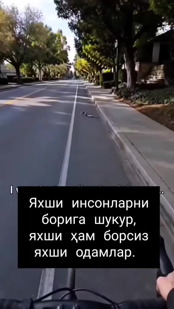 @X A L K