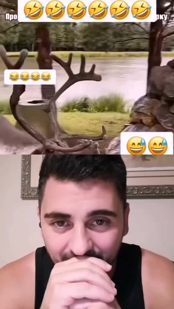 @@Альфа