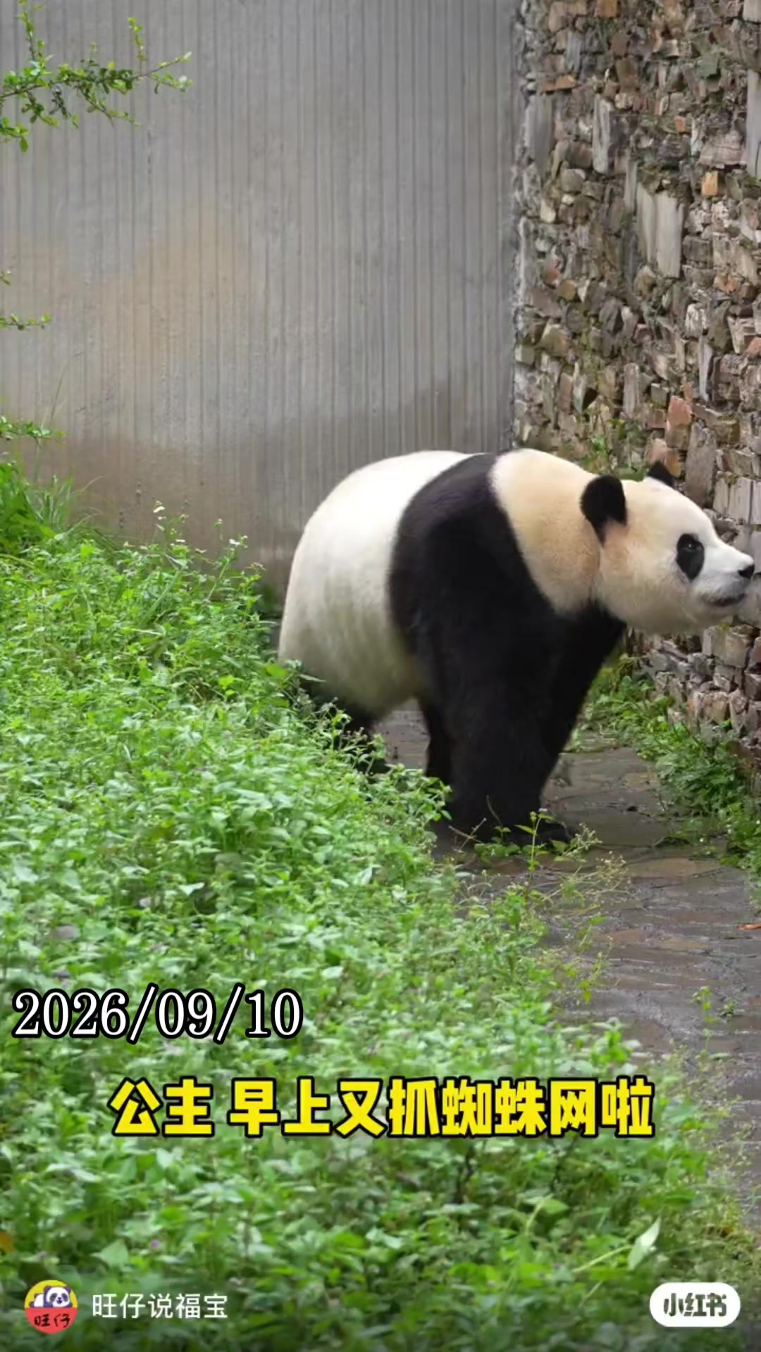 @福寶需要愛的抱抱