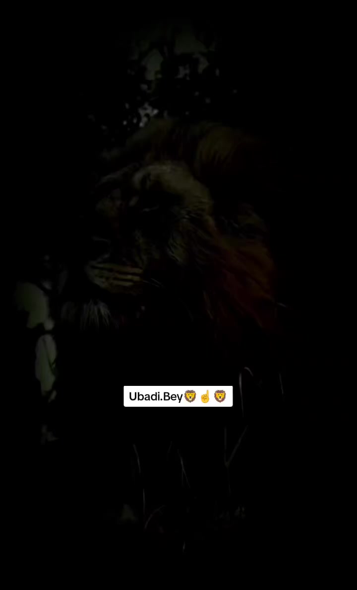 @Ş_ASLAN🦅☝️🦅