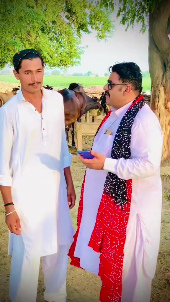 @Javed Ahmad🌹🥀🤎🦅