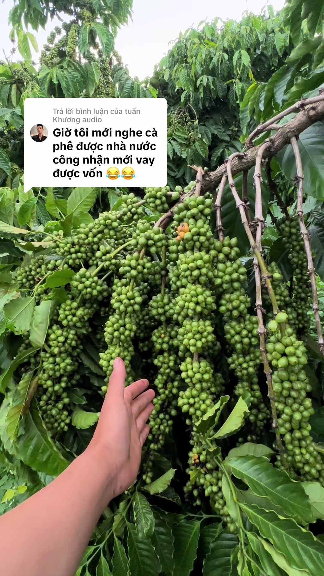 @Thành Bảo Lâm