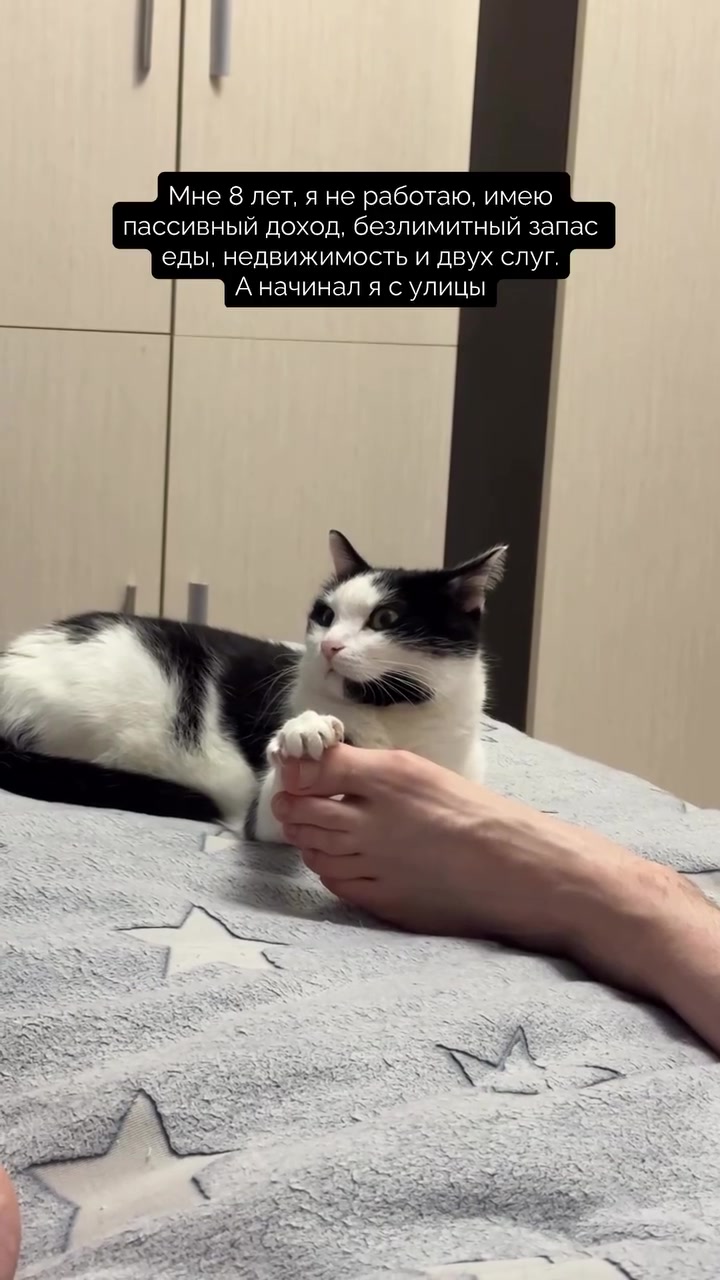 @ELENA AND 2CATS