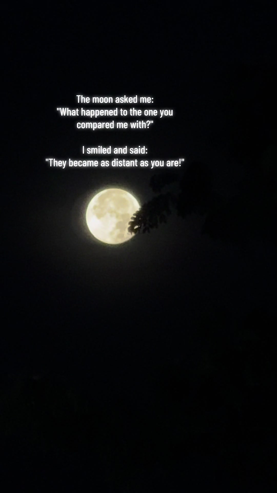 @Usernotfound