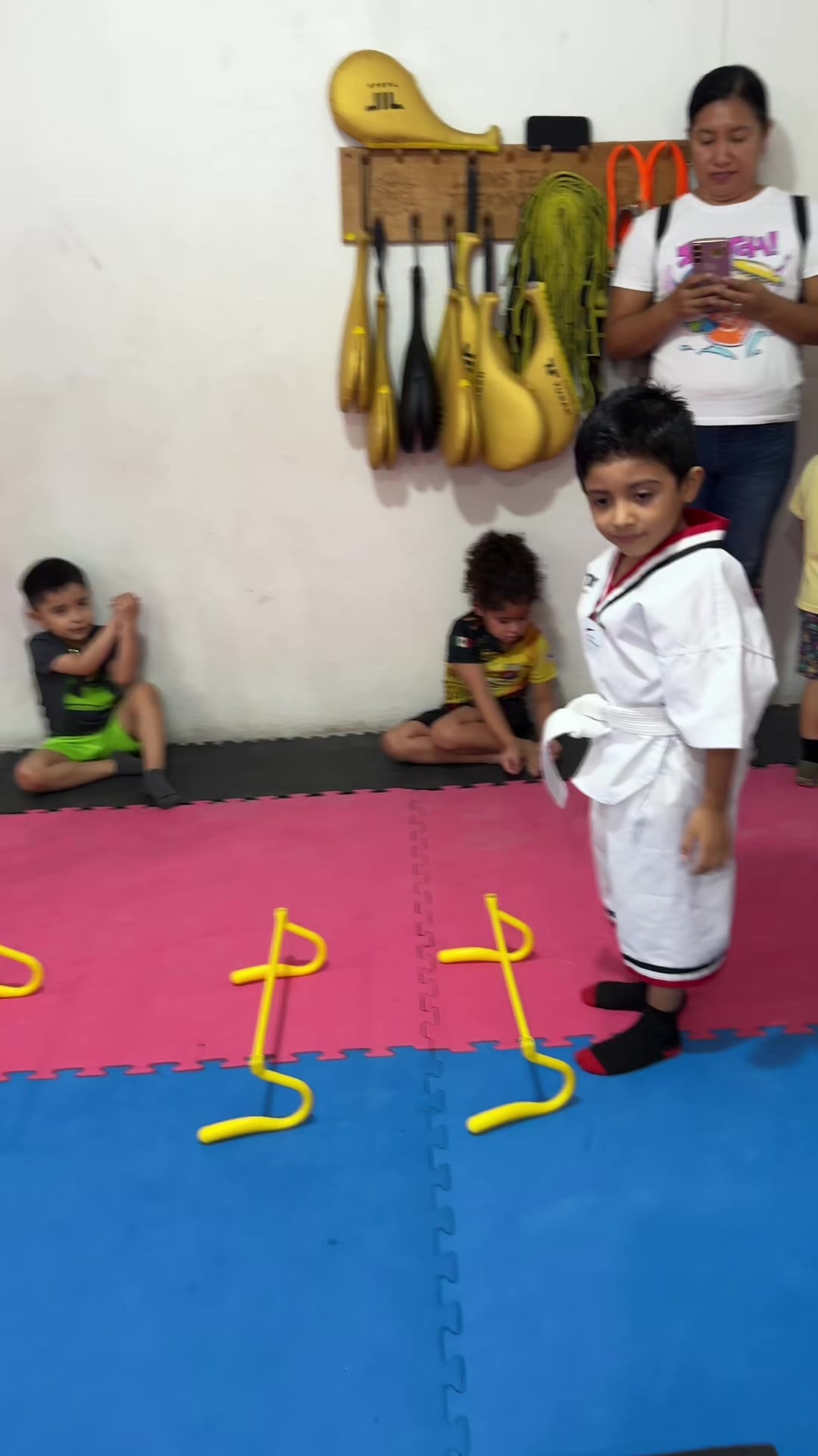 @taekwondolionsteam
