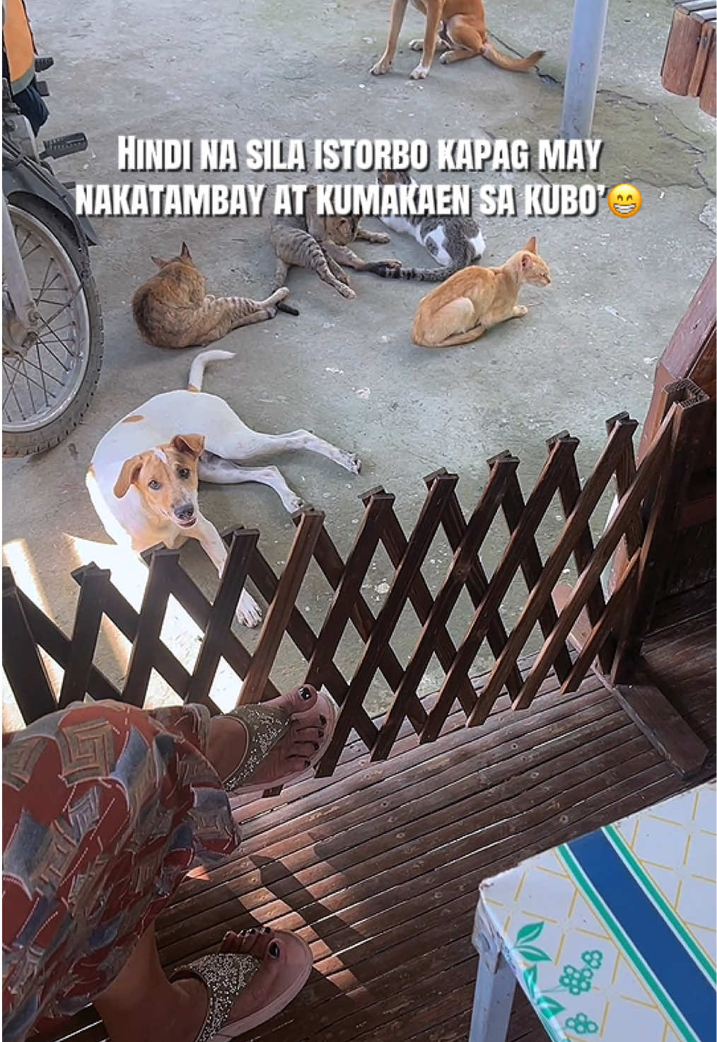 @Kakumpas