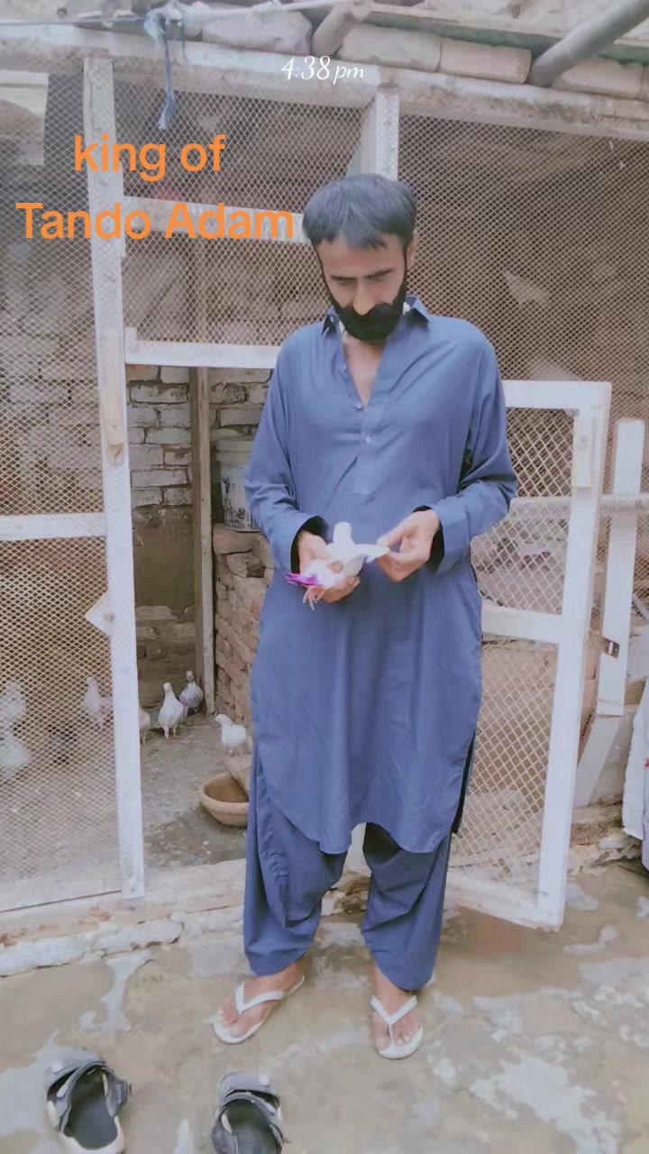 @Juman Saand02