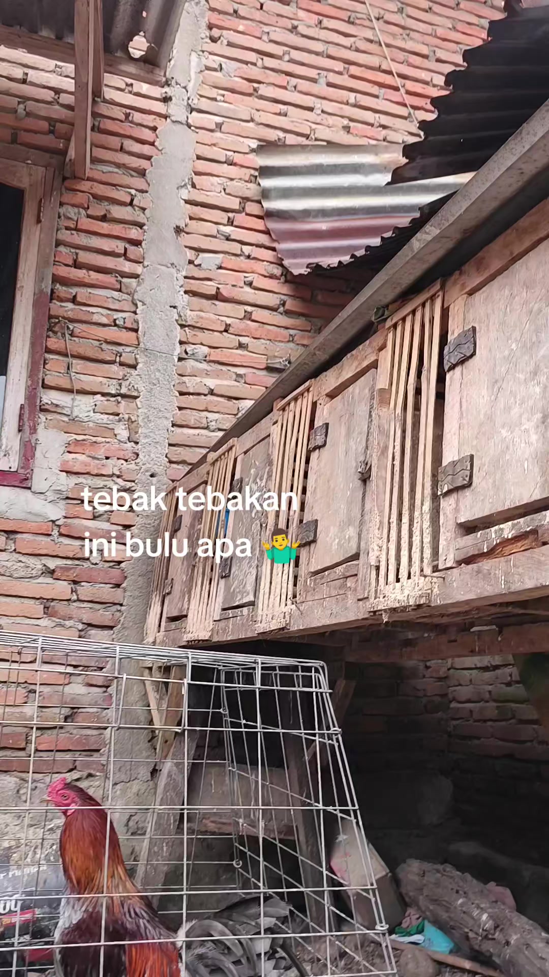 @pikkii