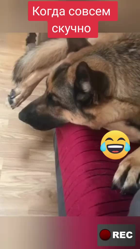 @Лариса