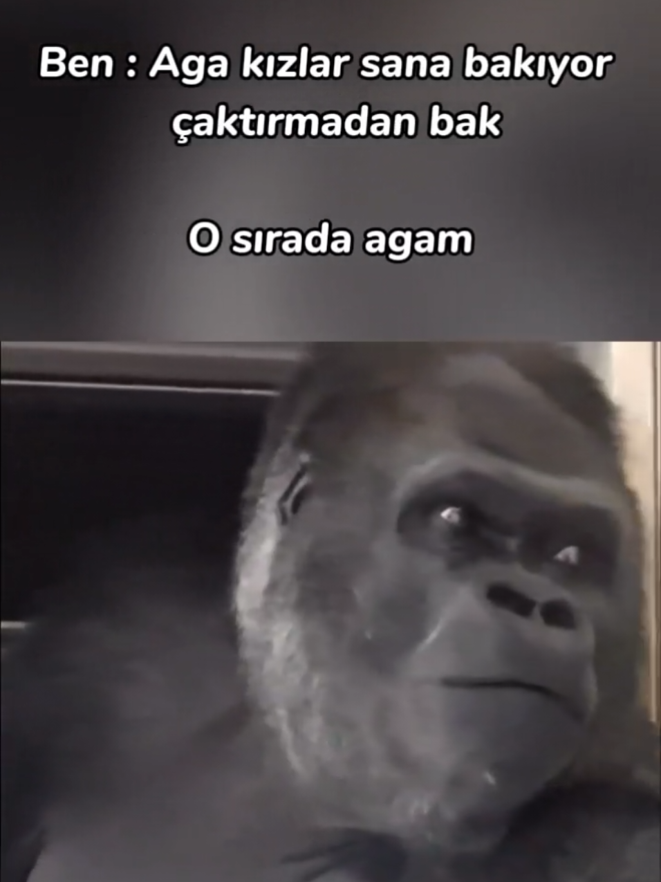 @H.A