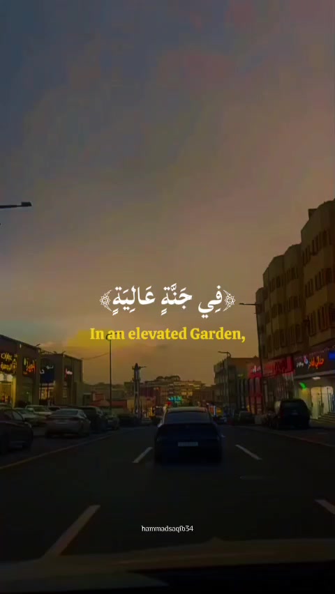 @Anas Gour