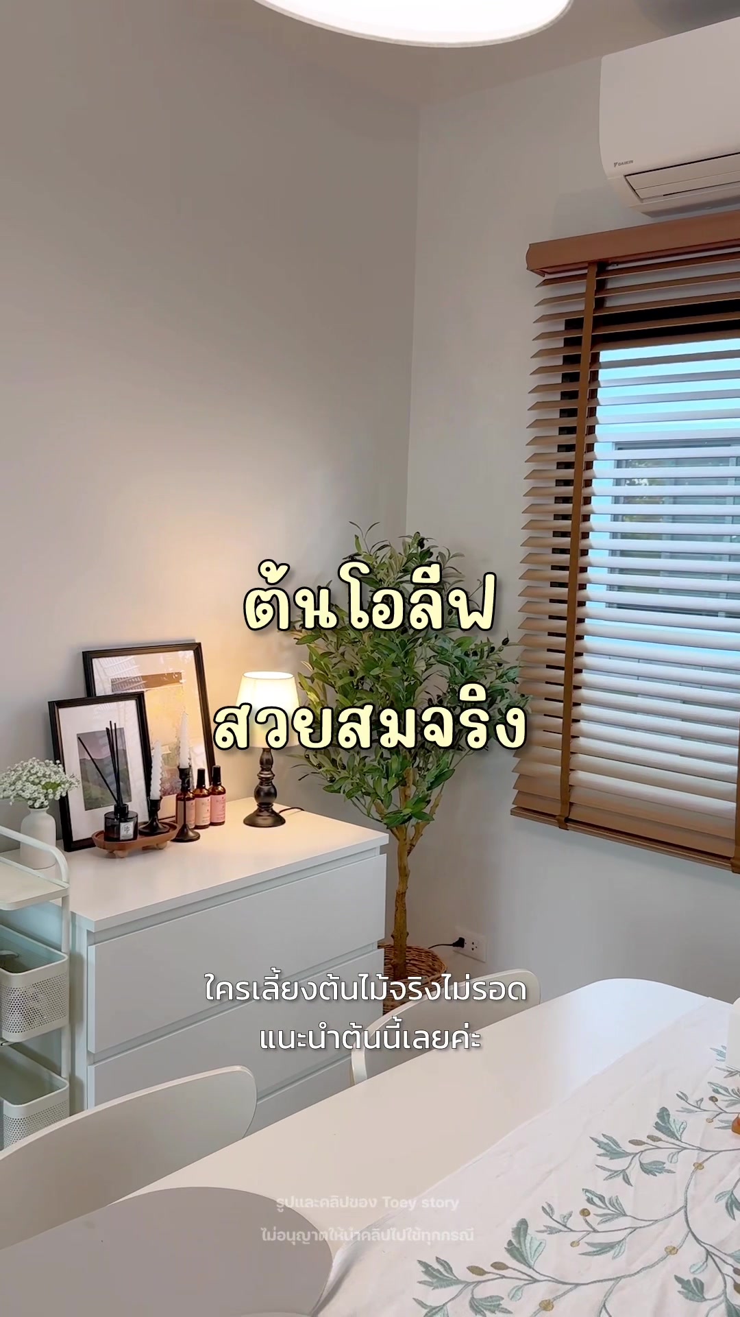 @Toey Story
