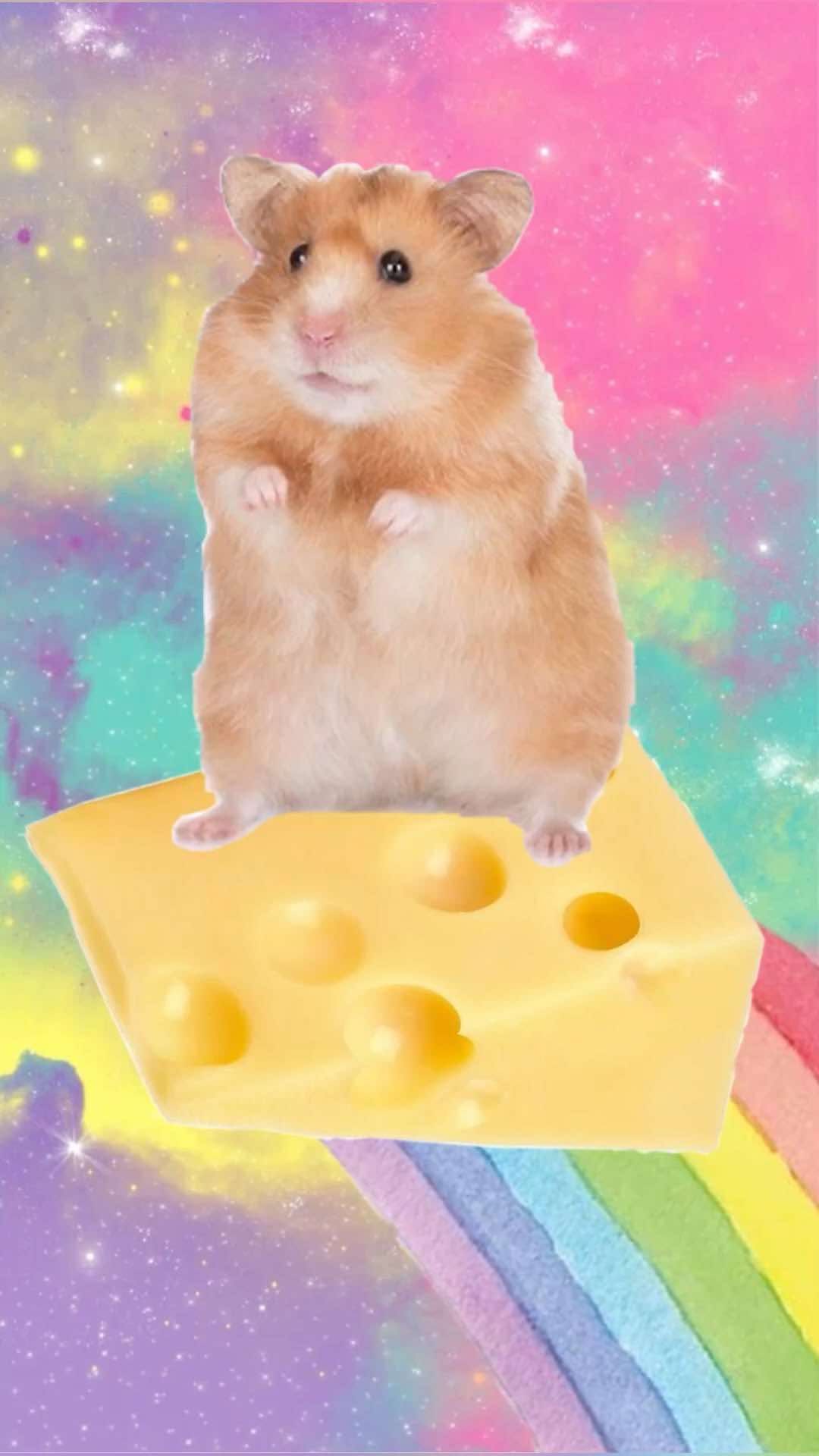 @pipermfchapmanismommy