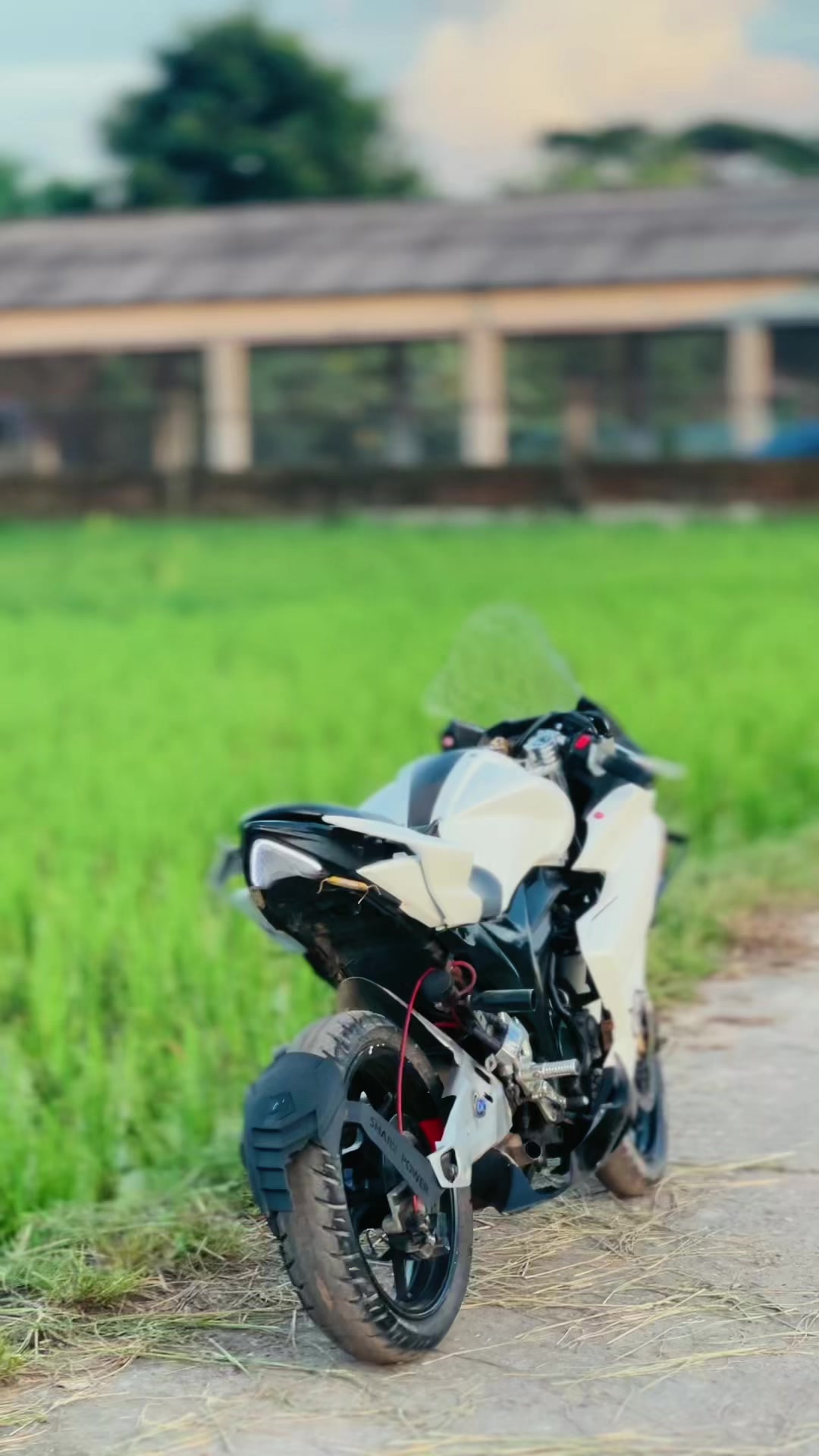@ALAMIN BHAI 🚀