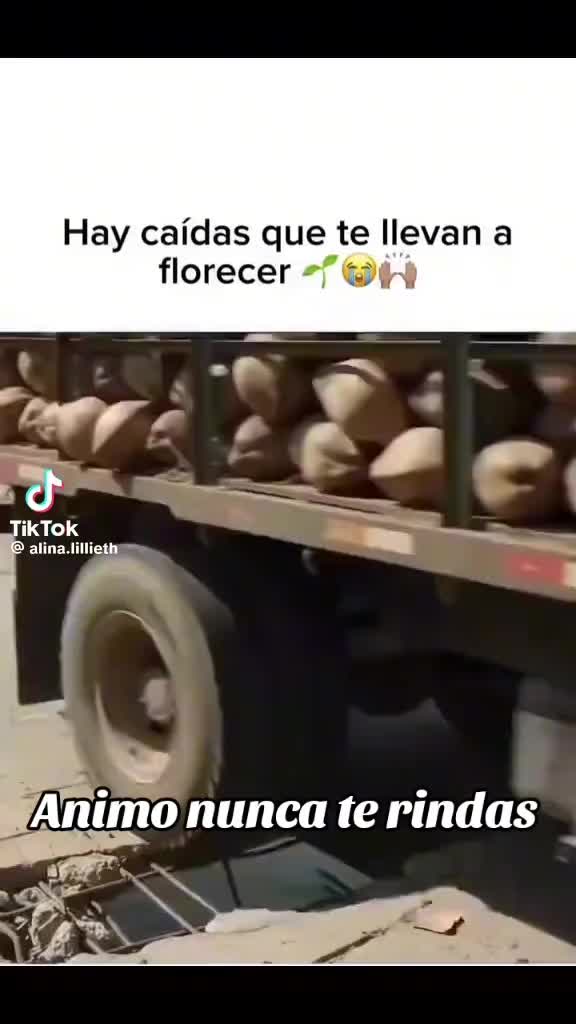 @pedro_lopez081
