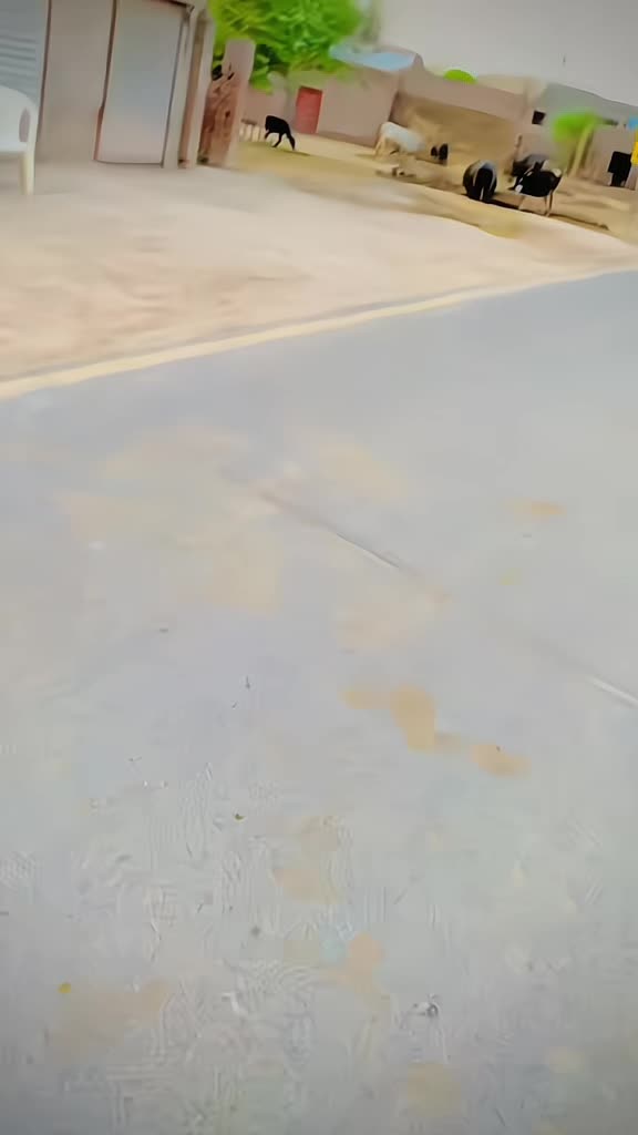 @قلب عبّاس