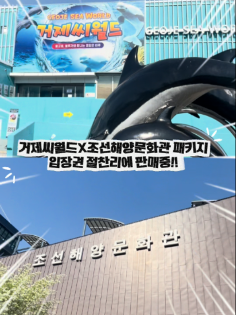 @DolphinTok