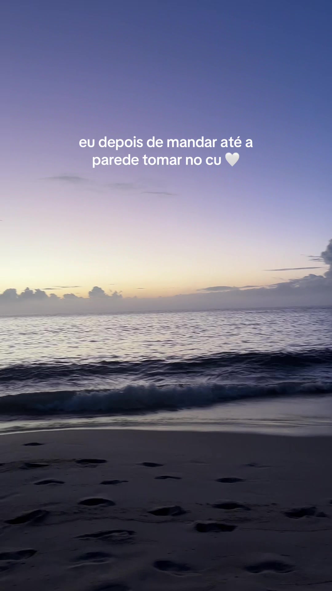 @laiza silva