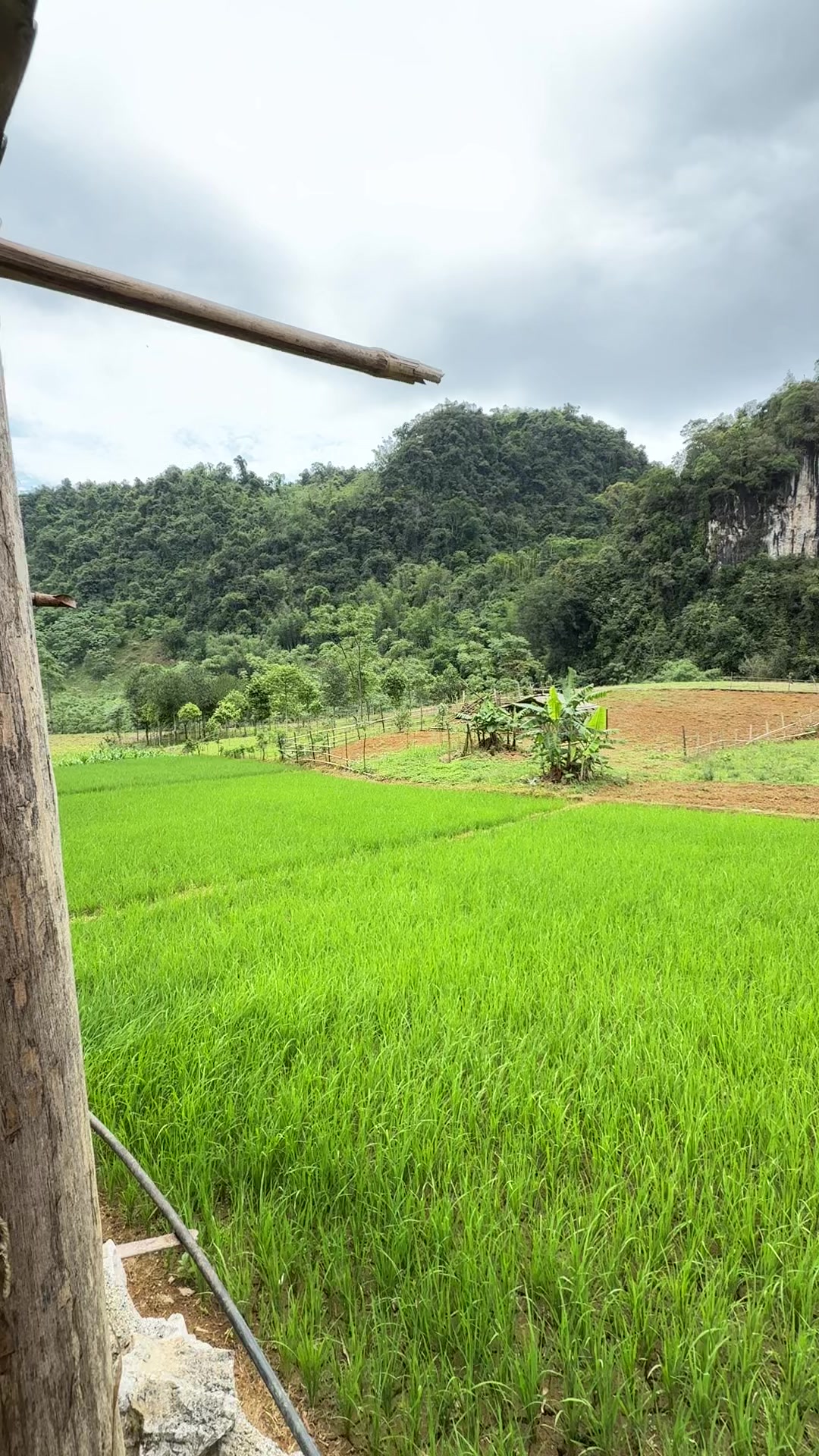 @Khắc Kỳ