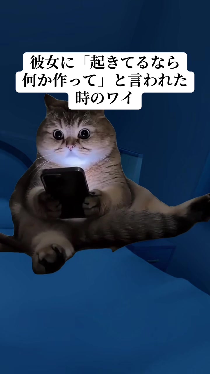 @面白ミーム