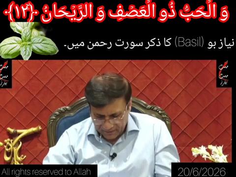 @Shu Maila
