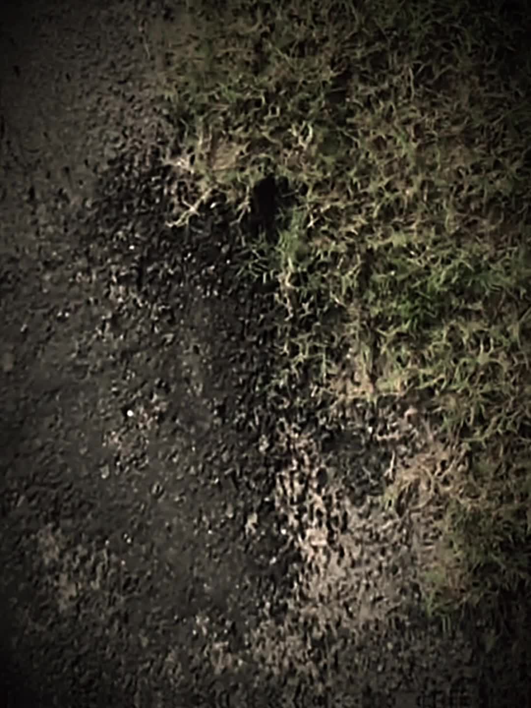@_đĻđĒĘá´ĘĘĘ_ęąÉĒĘá´.đąđ°đĻđĒ_