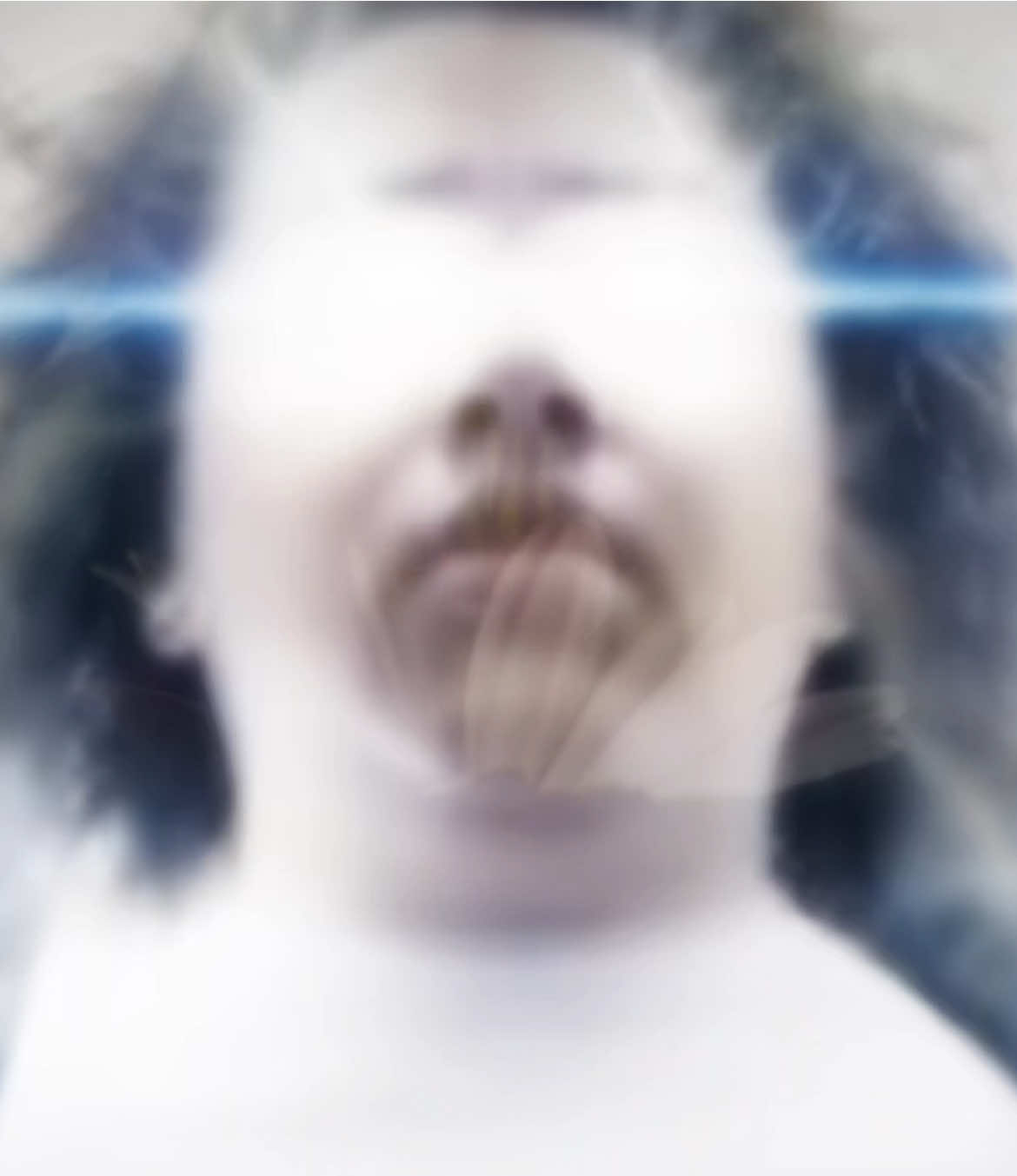 @Acauntis