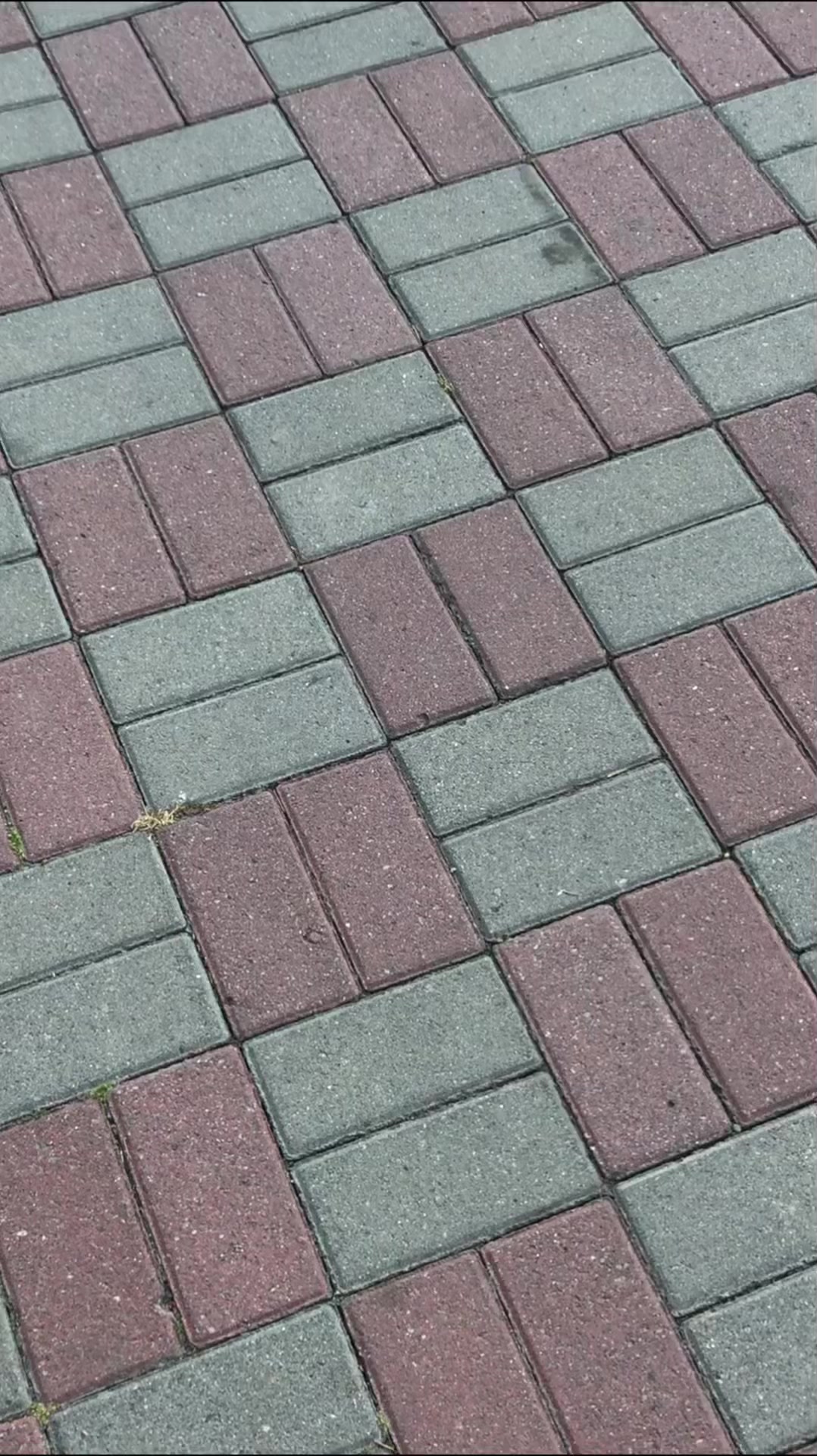@makarovv.n
