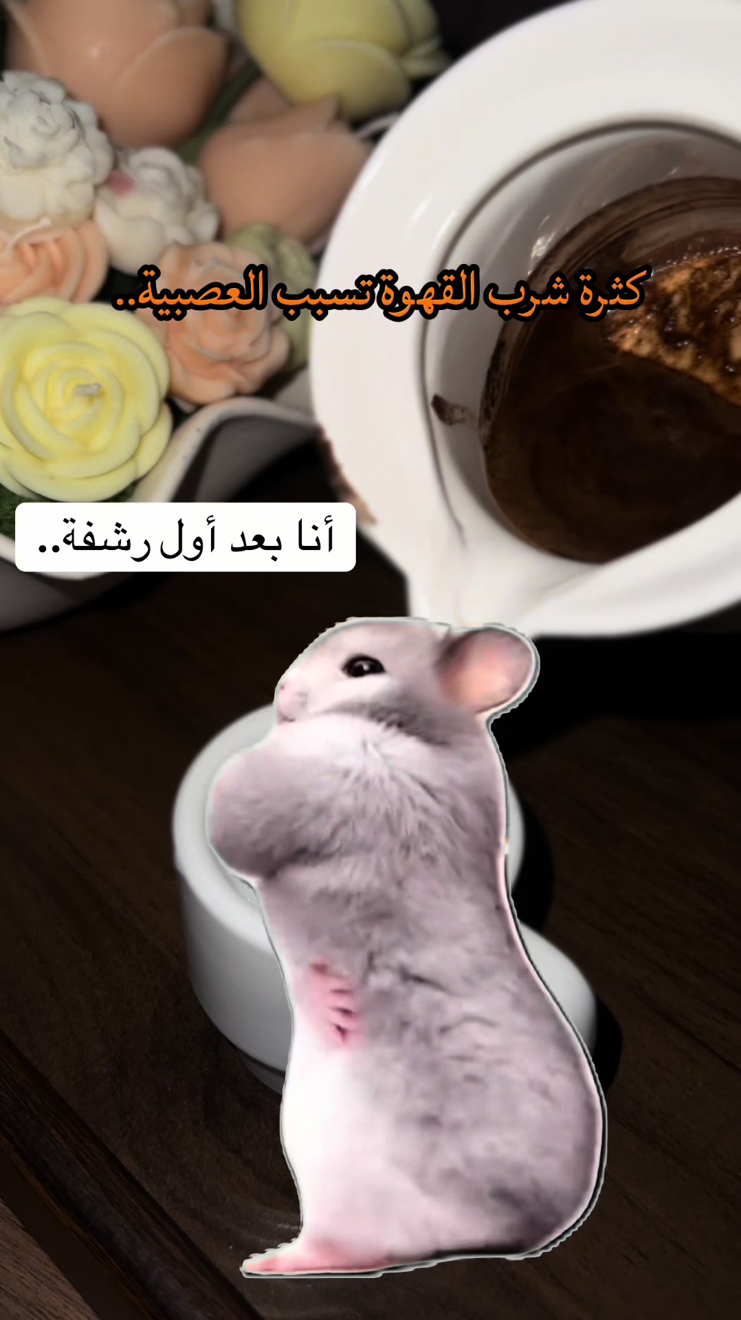 @ℳ𝒪𝒪𝒩🇸🇦💛