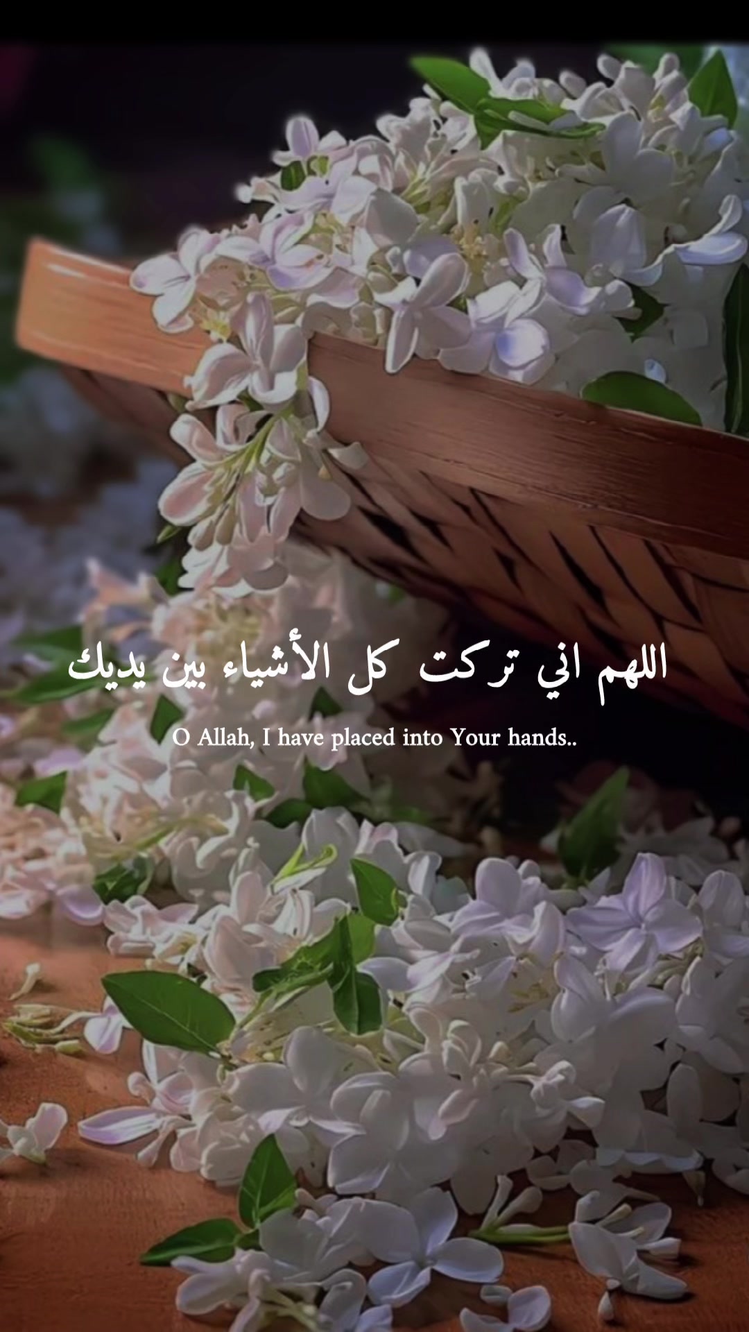 @ورد العشاق