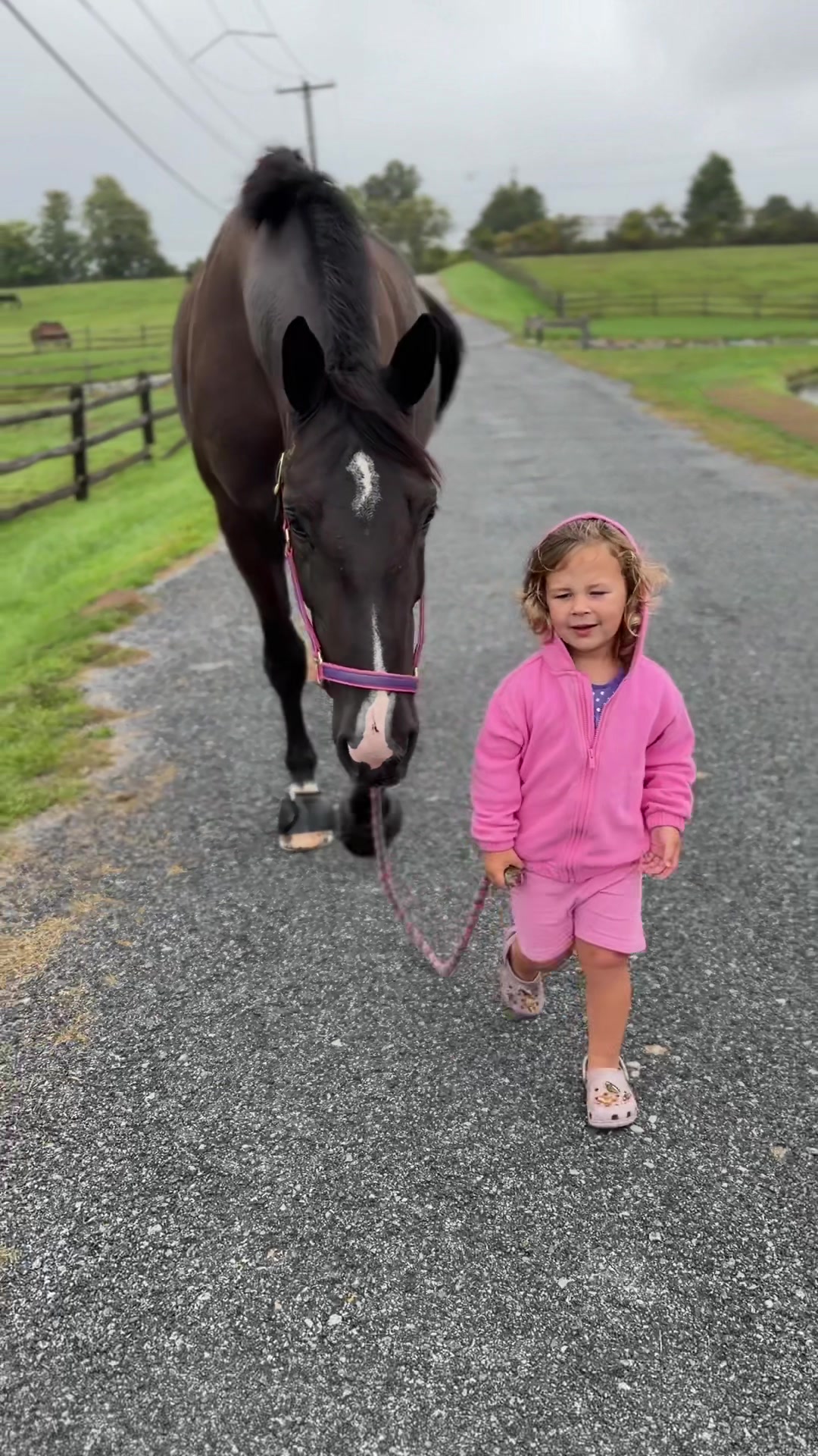 @Maria💜| Equestrian🦄