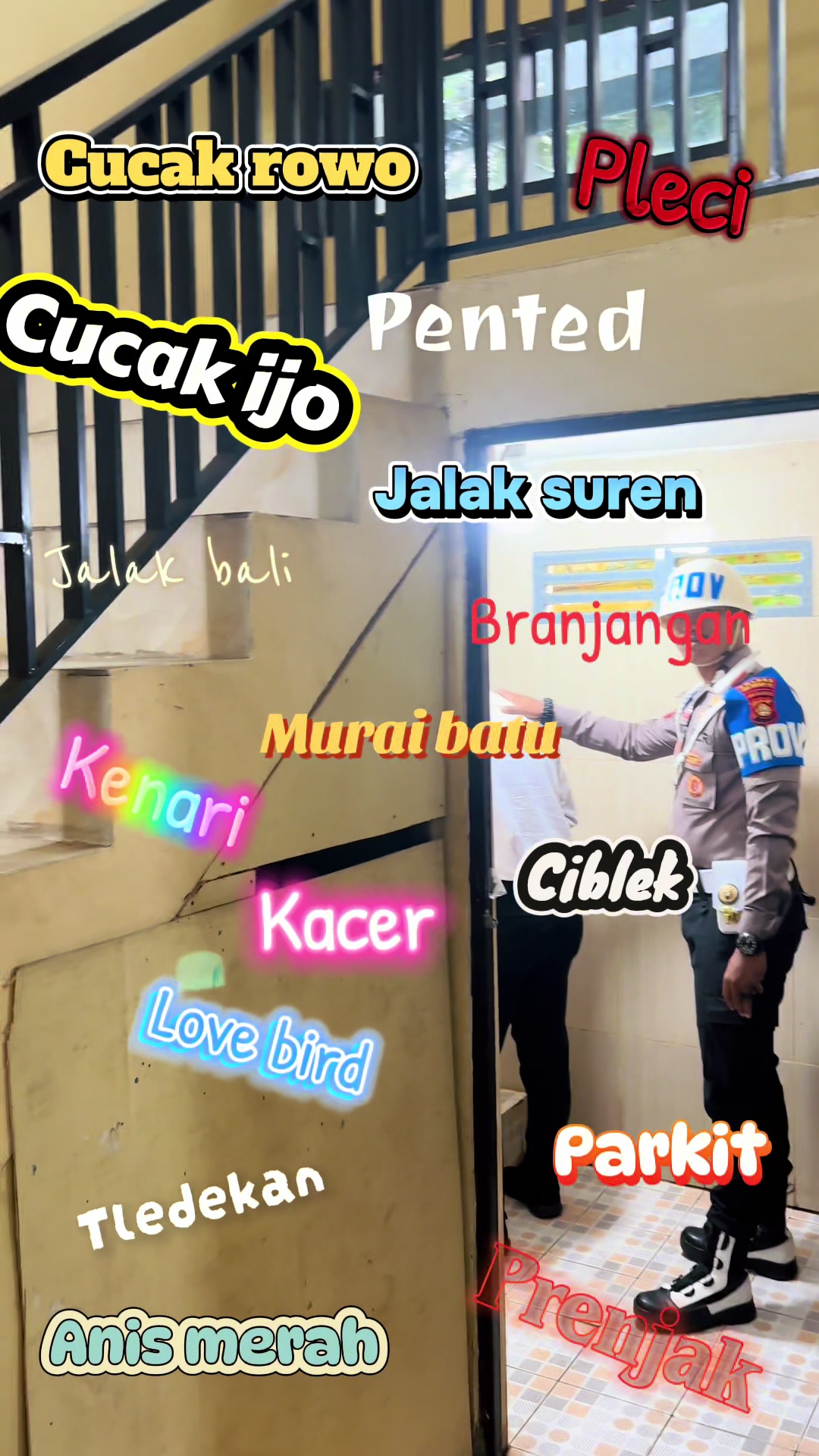 @KUMISAN